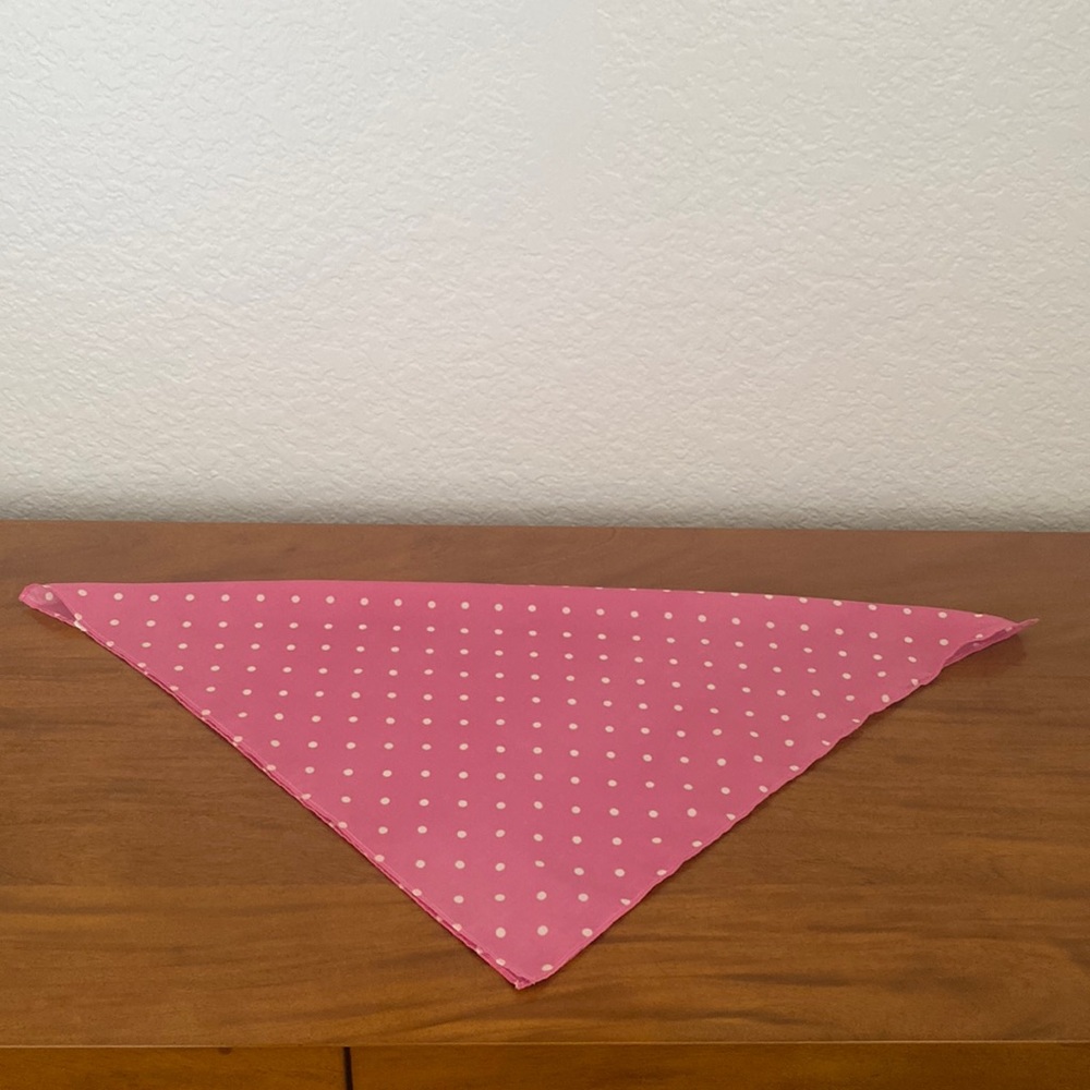 Polka Dot Bandanna